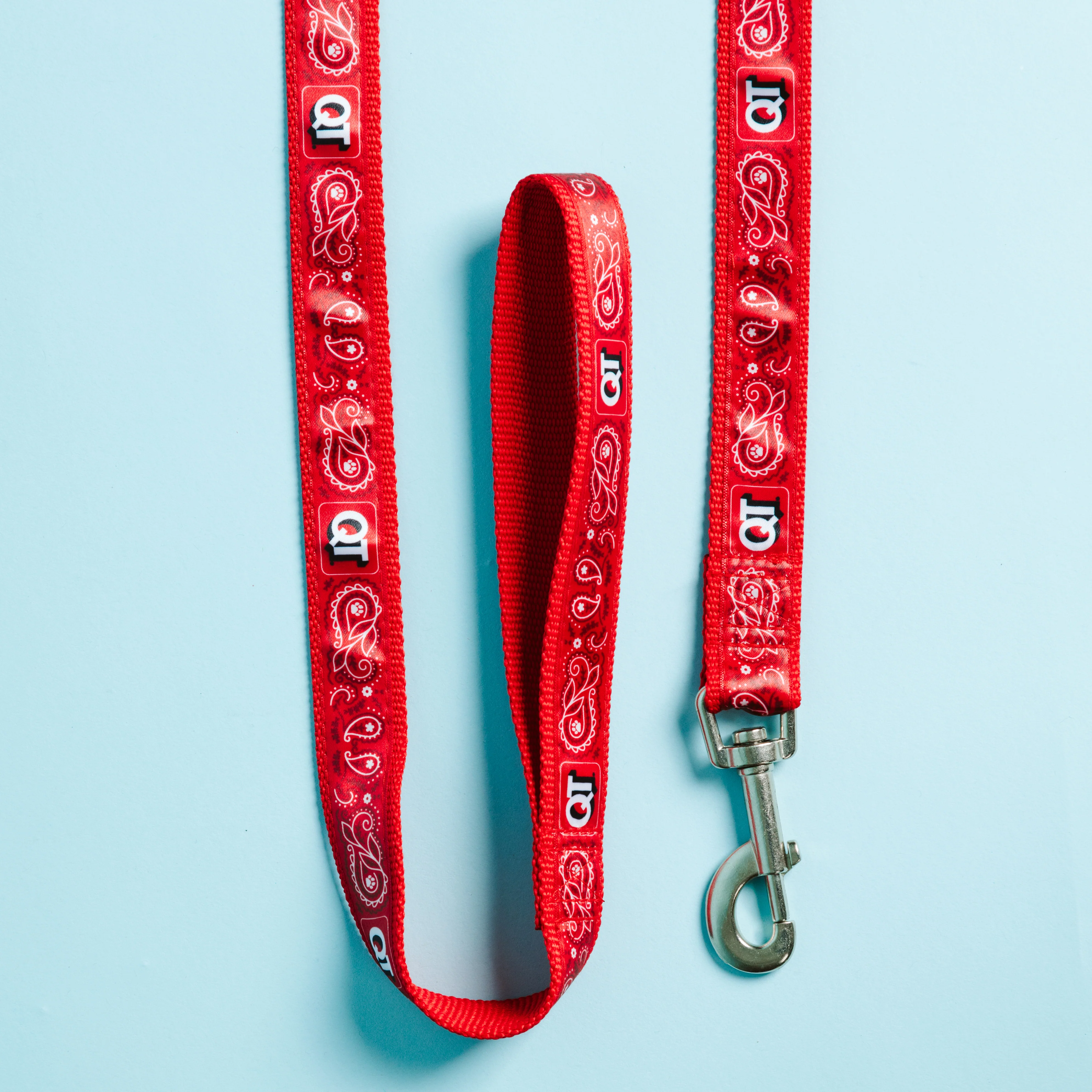 QT Dog Leash