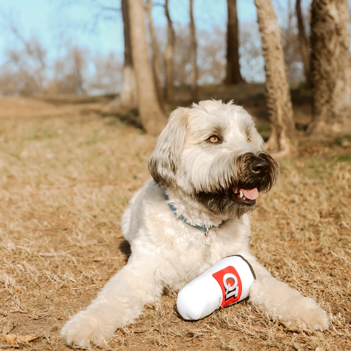 Dog Toy